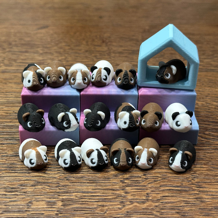Cavia's - Little Worlds
