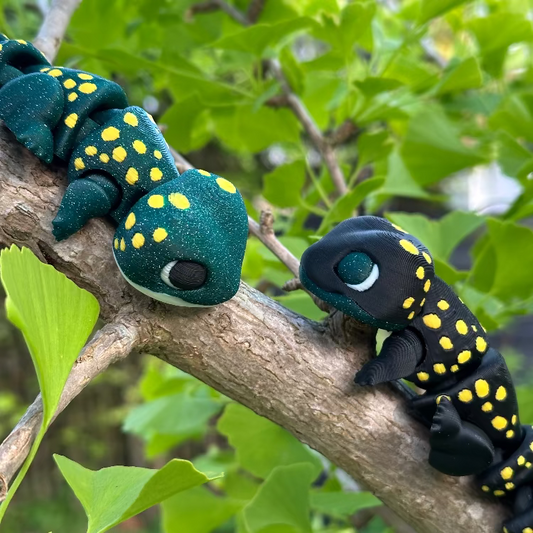 Speckle Gecko